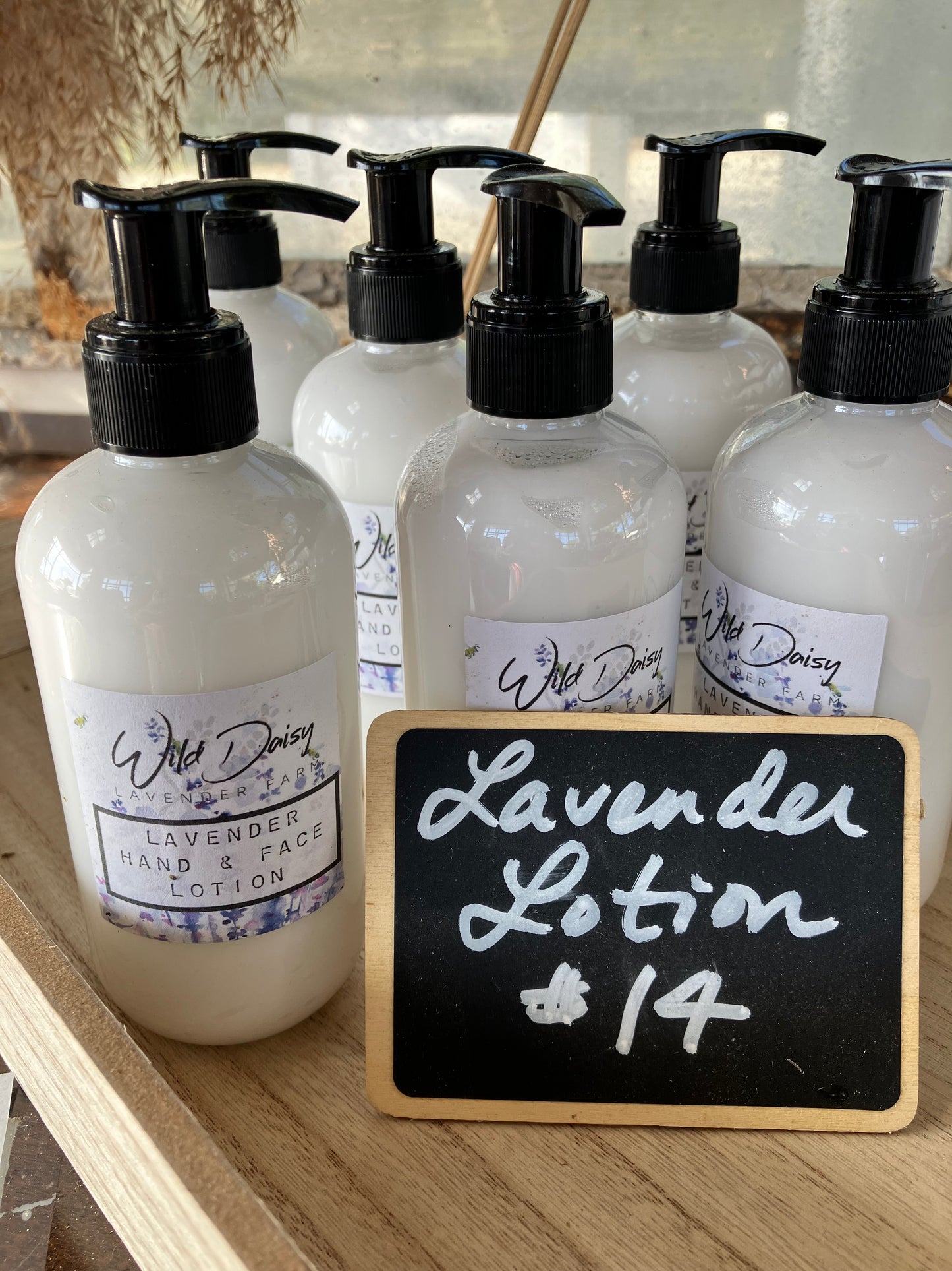 Lavender Hand & Body Lotion