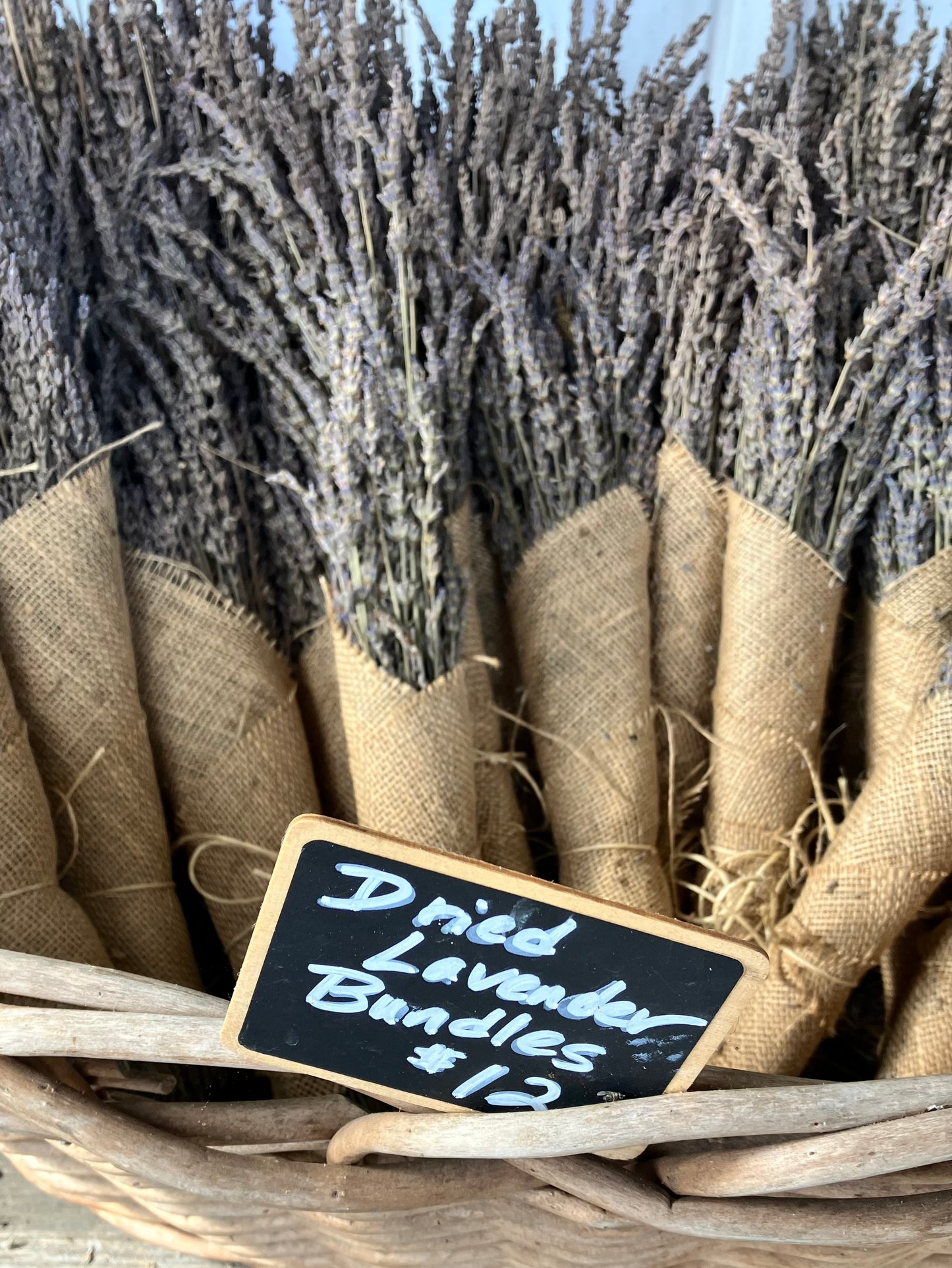 Dried Lavender Bundle
